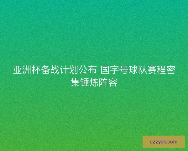 亚洲杯备战计划公布 国字号球队赛程密集锤炼阵容